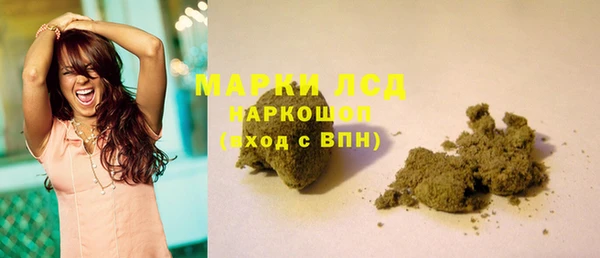ГАЛЛЮЦИНОГЕННЫЕ ГРИБЫ Балахна