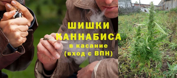 стаф Россошь