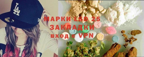 ГАЛЛЮЦИНОГЕННЫЕ ГРИБЫ Балахна