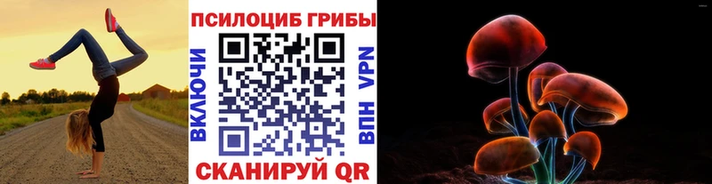 дарнет шоп Котельниково Галлюциногенные грибы MAGIC MUSHROOMS